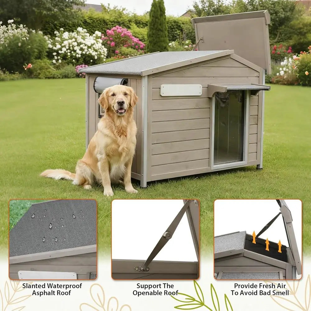 Lumora dog house