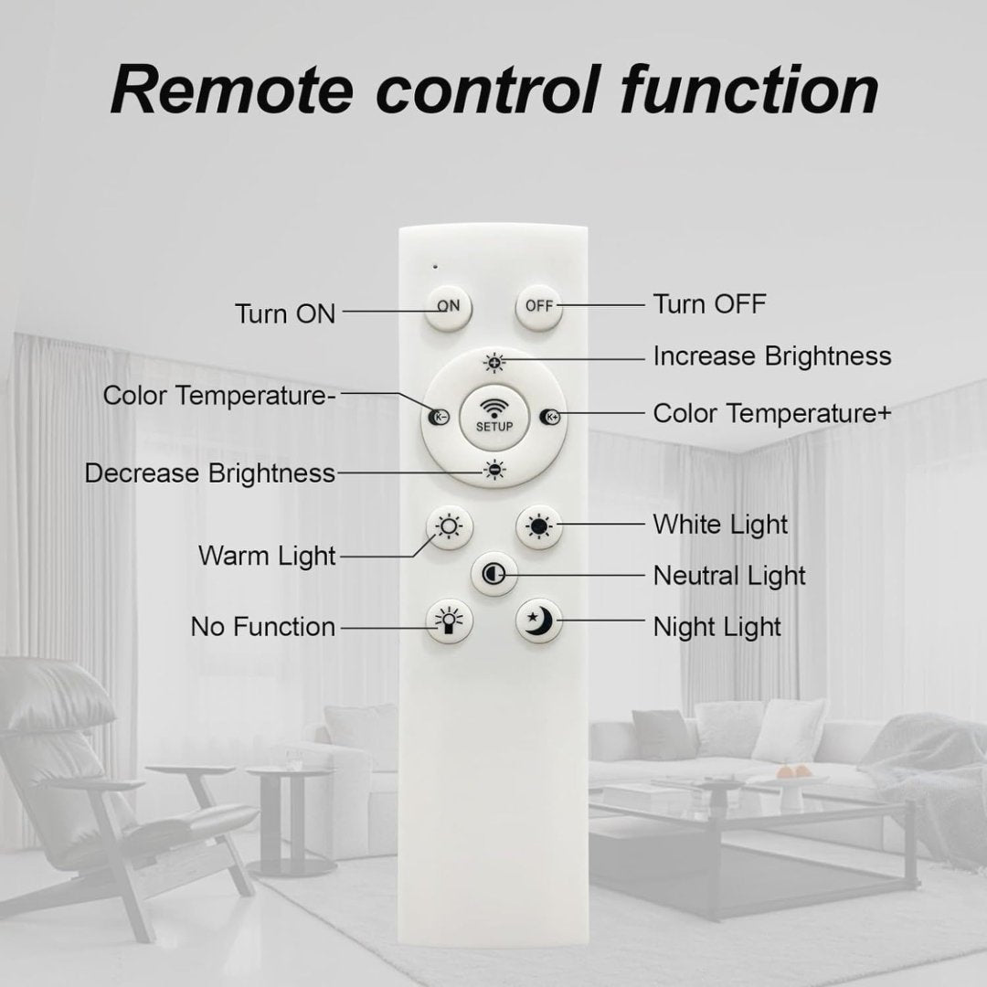 Modern Ceiling Lamp