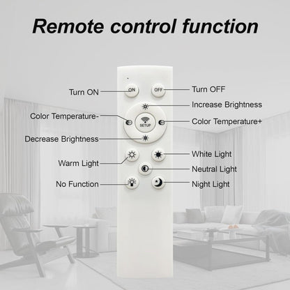 Modern Ceiling Lamp